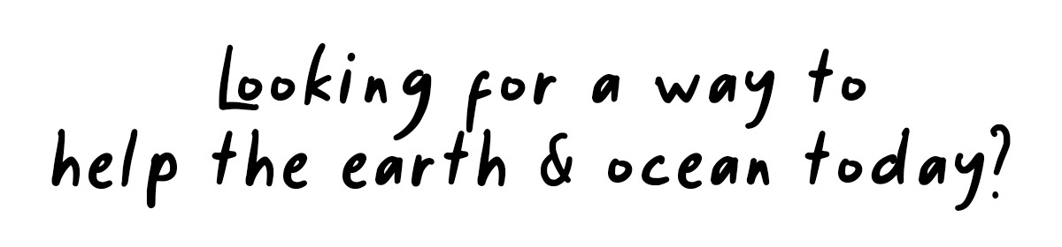 Looking for a way to help the earth & ocean today?